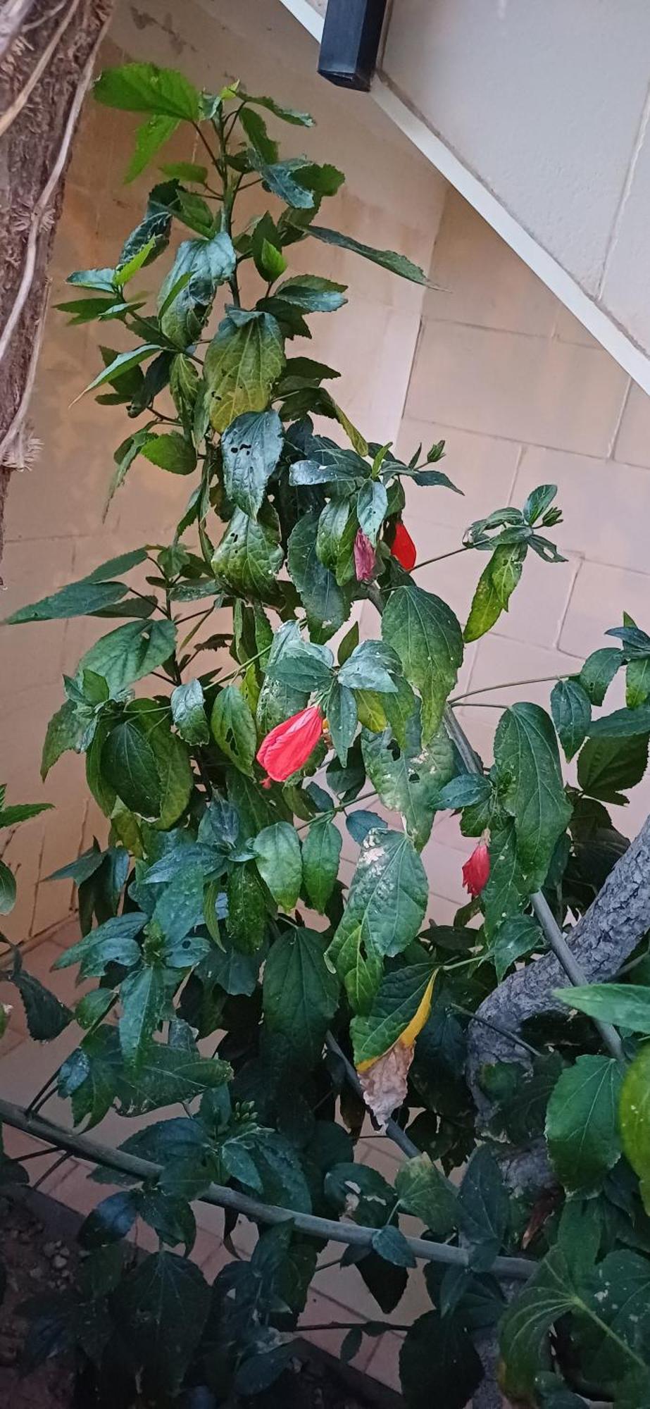 The Roof Garden Maisonette Marsaskala Ngoại thất bức ảnh